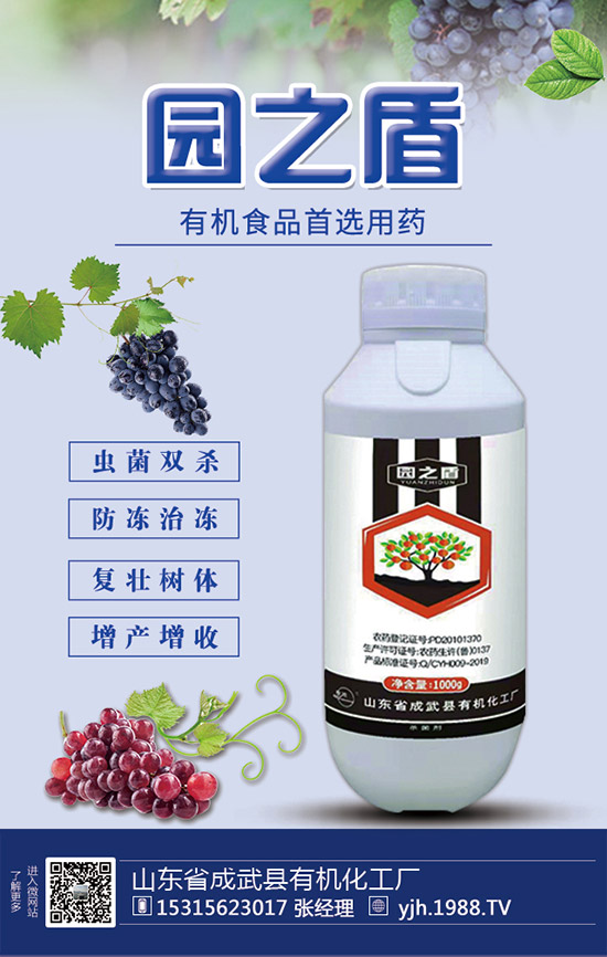 �J�S���ʩ�����J�S��ʲô���Ϻ����J�S������c��ע����헣�