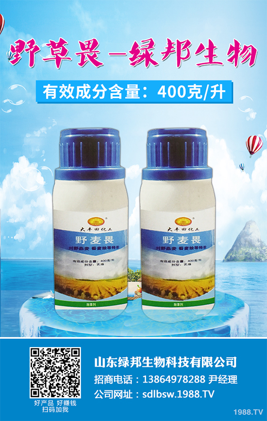 ���݄��r(ji��)������