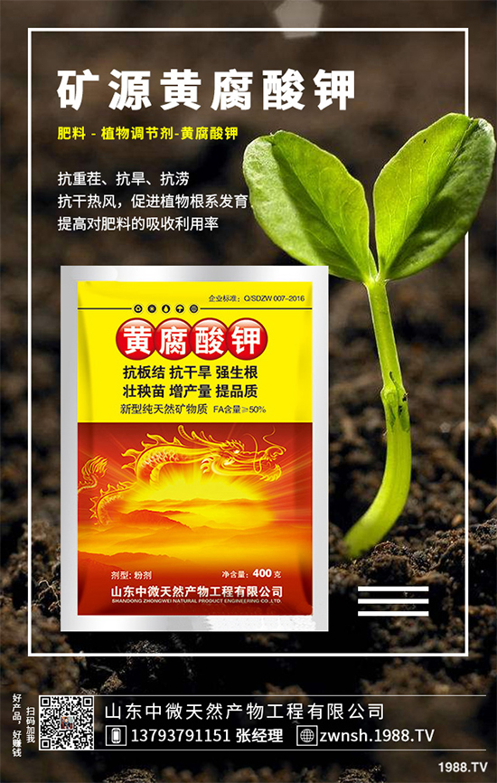 ������ԓ��η�ֳ�������ǵķ�ֳ���g(sh��)�������