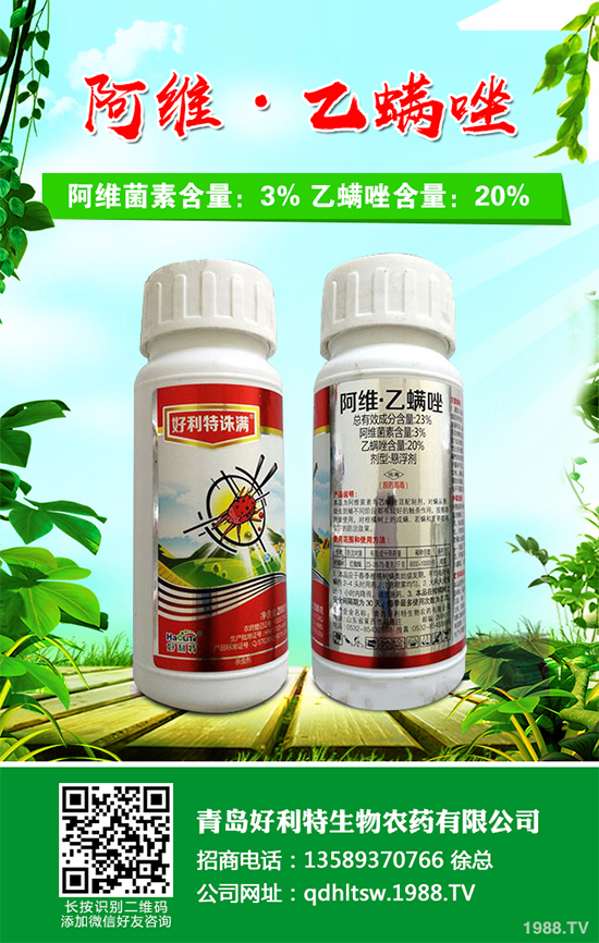 卷心菜能在陽臺上種植中嗎?卷心菜家庭種植技術要點