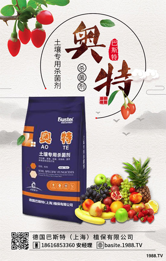 ���ߺ���������ʲô�^(q��)�e�������߷N�ӵķNֲ������