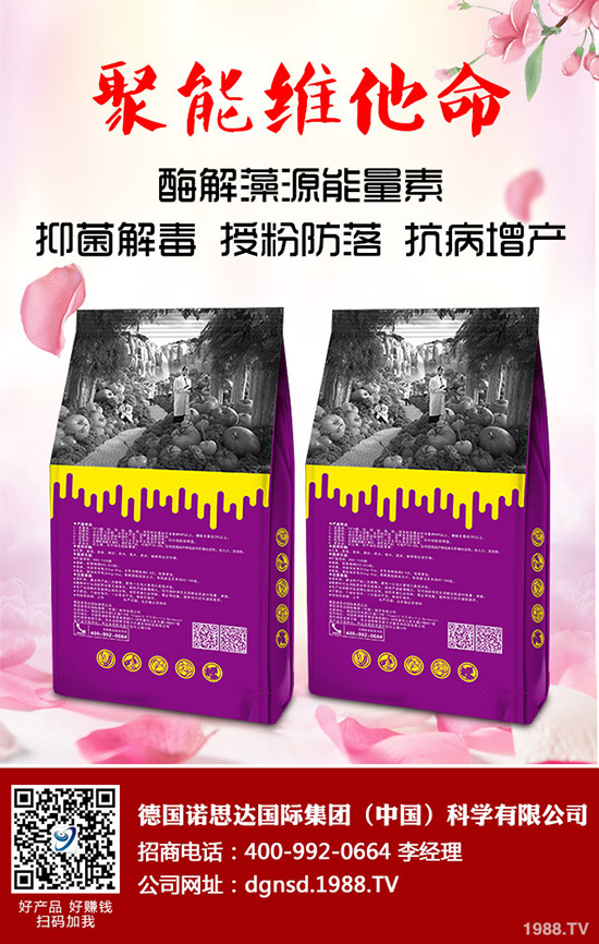 �ܱ��Ϲ���ô�Nֲ���ܱ��Ϲϵ����༼�g(sh��)Ҫ�c(di��n)�c������