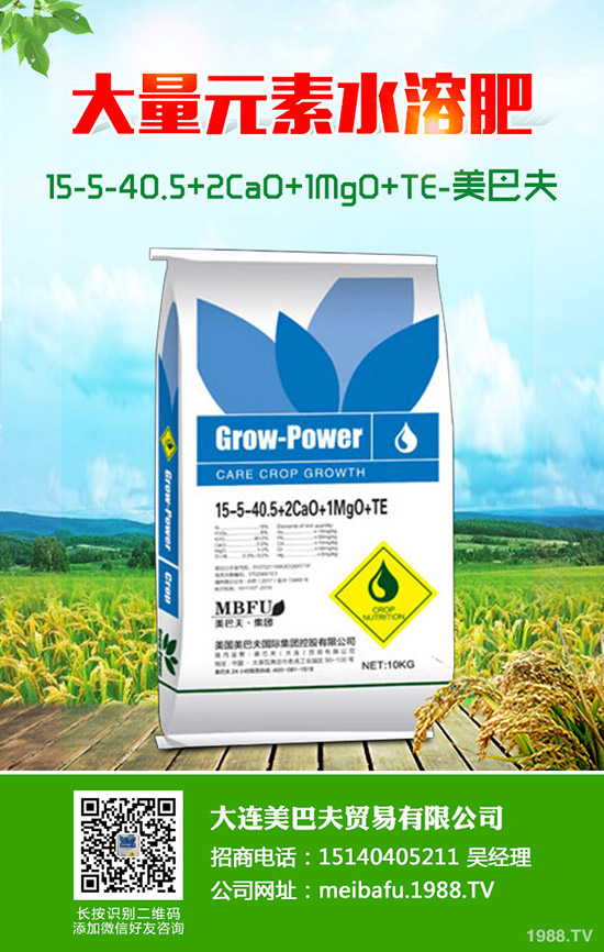 小麥白穗是什么?有哪些原因造成的?防治時間及用什么藥治?