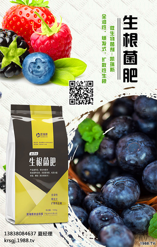 油茶屬茶科,常綠小喬木。茶油色清味香,營養(yǎng)豐富,耐貯藏,是優(yōu)質食用油 ;也可作為潤滑油、防銹油用于工業(yè)。近年來我國各地油茶產(chǎn)區(qū)政府紛紛鼓勵種植油茶。那么,油茶種植到底有哪些優(yōu)勢呢?