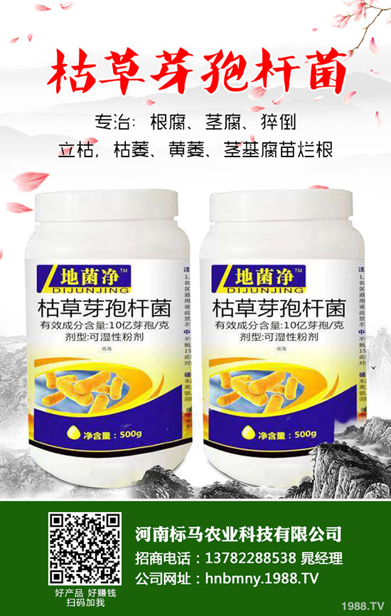 �����ôʩ�ʣ����ʩ��Ҫ�c(di��n)����Щ��