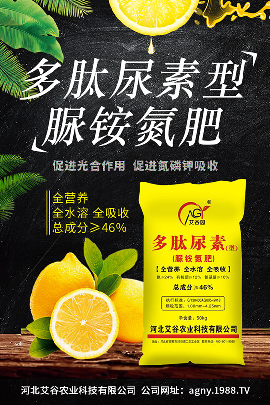 �ļ����NֲҪ�c(di��n)���ļ������缼�g(sh��)�����ڹ���