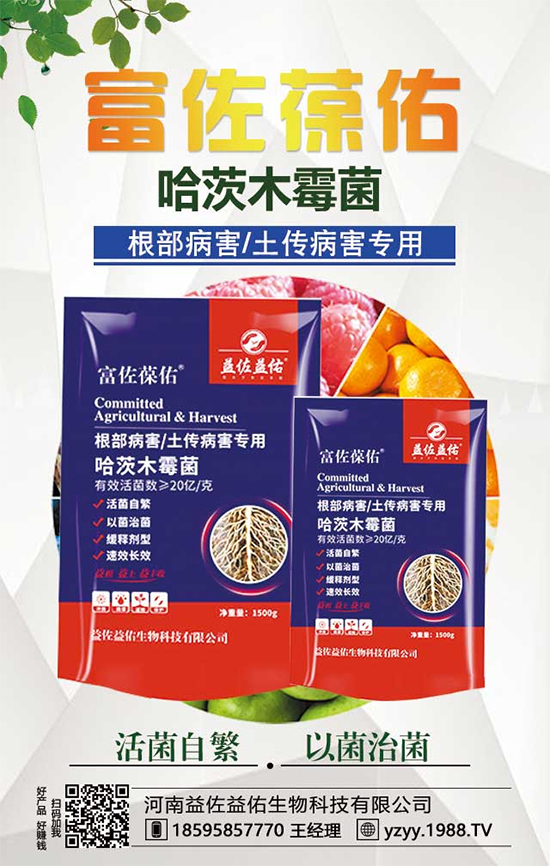 ���^����ʲô�I�B(y��ng)�r(ji��)ֵ�������^��ʲô��̎��