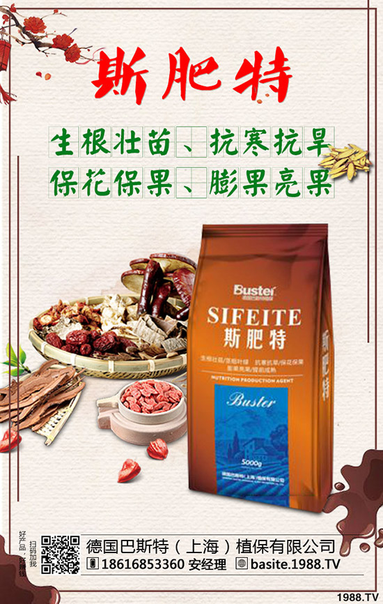 西瓜苗幾月份移栽,西瓜苗定植移栽技術(shù)及注意事項!