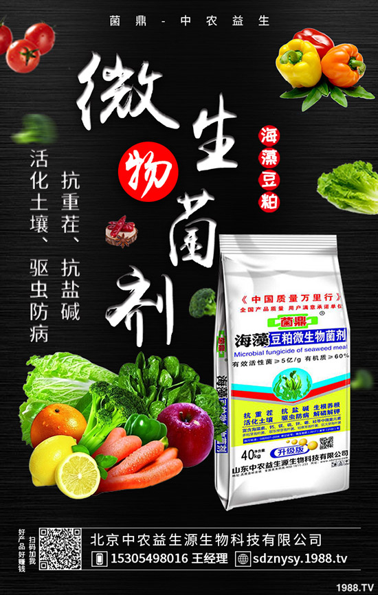 二銨市場(chǎng)整體表現(xiàn)平靜!2020-5-12最新磷酸二銨價(jià)格行情分析!