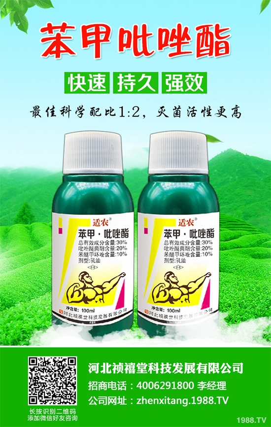 ���Ț�����ԭˎ�r��