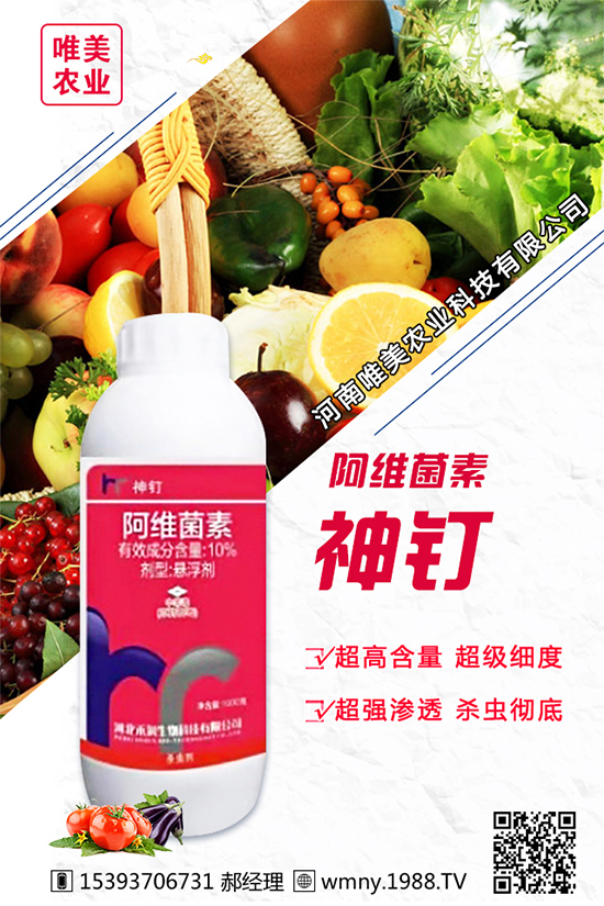 ���[������Ʒ�N����Щ���Nֲ���[���h(hu��n)���l����Ҫ��