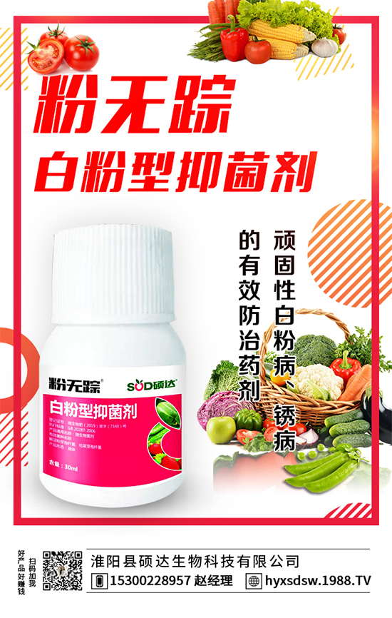 ������ô�Nֲ�������Nֲ���g(sh��)Ҫ�c(di��n)��