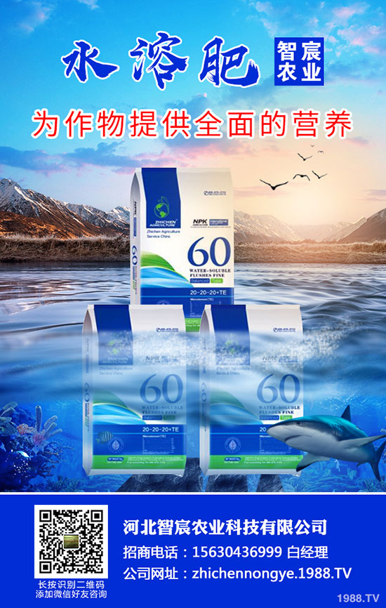 2020���؃r(ji��)��Ҫ�ϝq���������������߄�(sh��)������