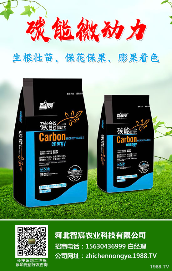 5��(gu��)��(n��i)�׷��Ј�(ch��ng)��ȥ�Ώ�������һ�@���@�r(ji��)�������߄�(sh��)�A(y��)�y(c��)��