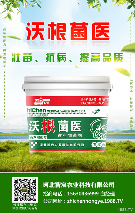 ⛷ʃr�����wƫ���\�У�����⛷��������2020-5-15��