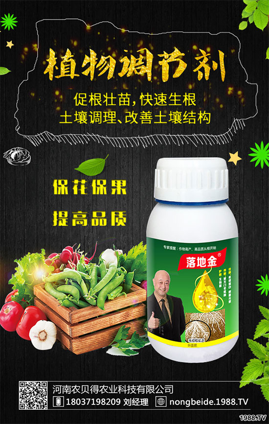 �����~Ƭ�l(f��)����ʲôԭ���������B(y��ng)ֳע��Ҫ�c(di��n)��