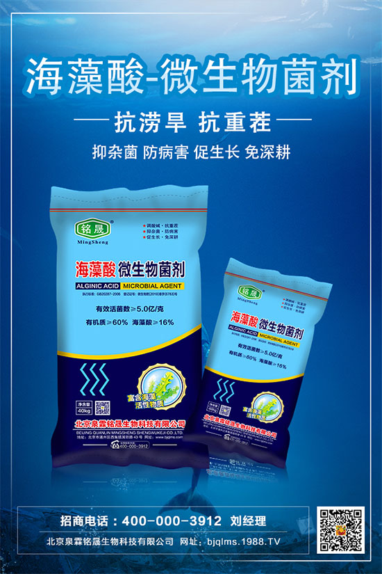 �Ә�Nֲ���g(sh��)Ҫ�c(di��n)���Ә���ԷNע�����(xi��ng)��