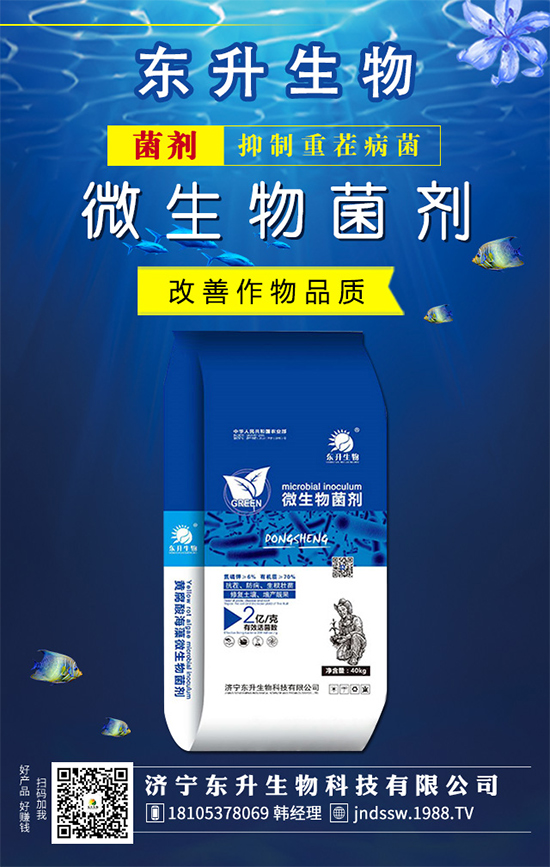 白掌的花語是什么?水培白掌的的養(yǎng)護方法!