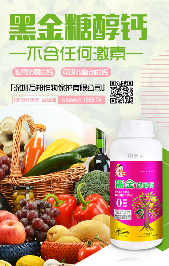 花期將至!棗樹落花落果該怎么辦?棗樹落花落果原因及防止措施!