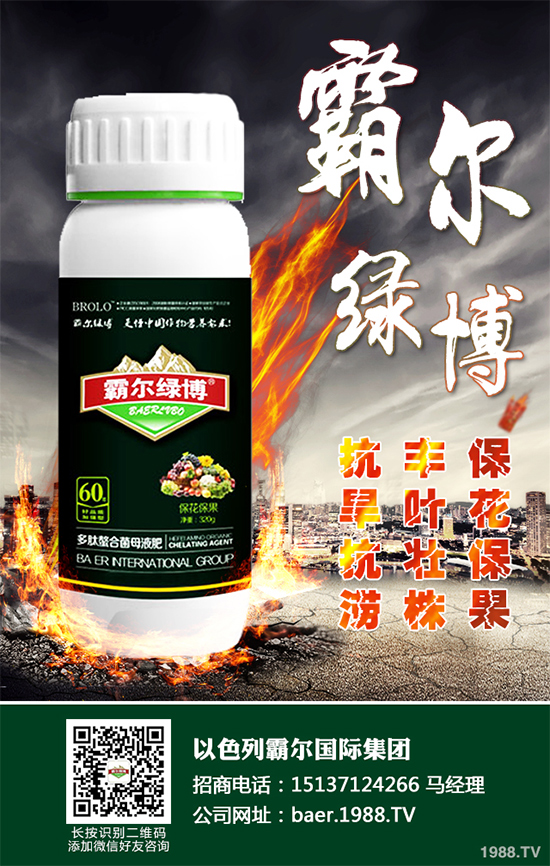 ������ʲô�r(sh��)�򲥷N��2020���������粥�����ă�(y��u)ȱ�c(di��n)����