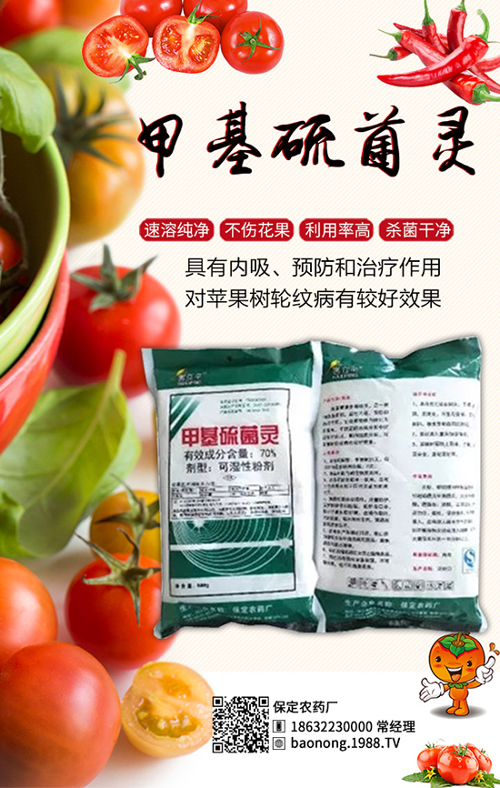 ������������أ���Ч����â���ǰ��������u���