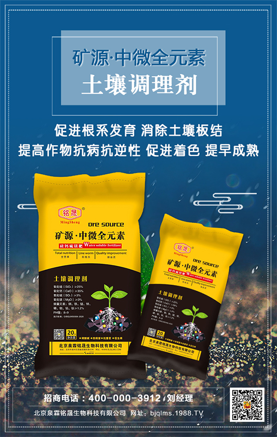 ��֥��ʲô�r�g�Nֲ����֥�����༼�g(sh��)Ҫ�c��