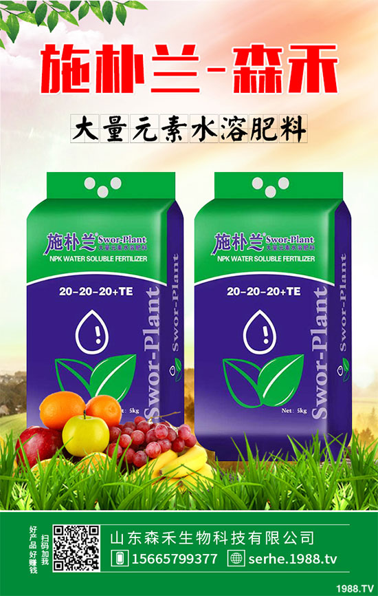 �R���r(ji��)�񲻔��������ܷ��^�m(x��)��(ji��n)ͦ��2020���R����Nֲǰ������