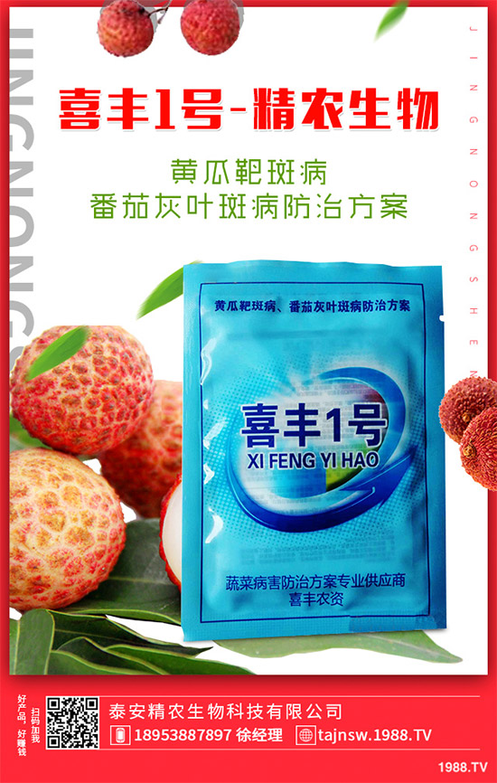 �V���X�ݷNֲ��Ҫ��Щ�l�����V���X��Ǥ������Ҫ�c(di��n)��