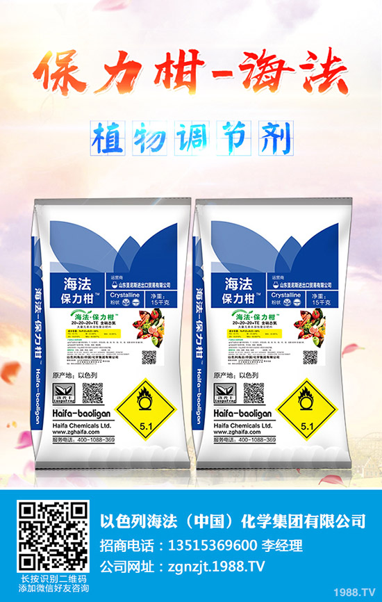 玉木耳種植賺錢么?玉木耳如何栽培?玉木耳栽培技術(shù)及種植效益成本!