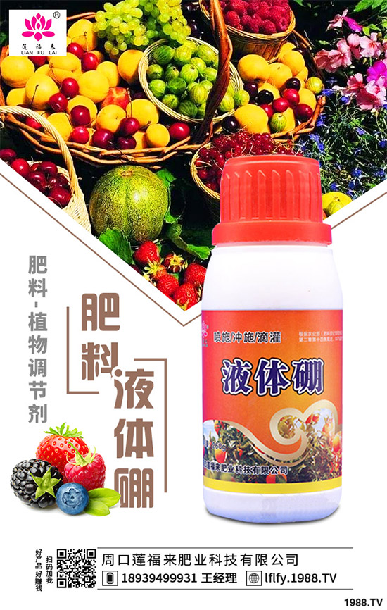 決明子有哪些神奇功效?種植決明子能掙錢(qián)嗎?2020決明子種植前景分析