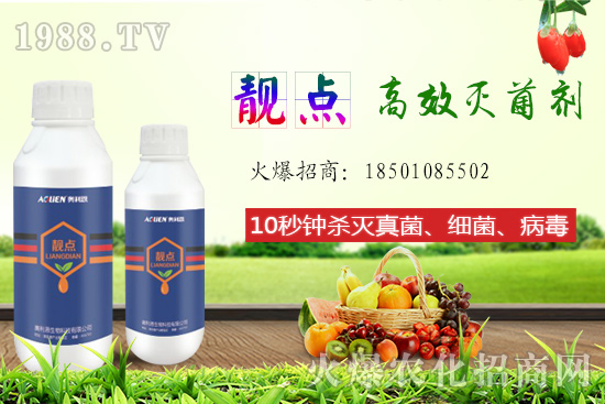 ����Ƭ��ʲô���ã��ԙ�����ʲô��̎��