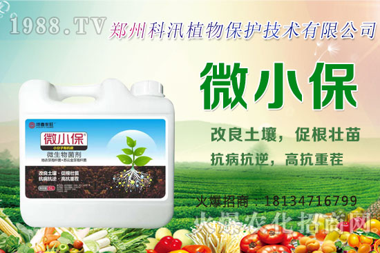 ����Ĺ�Ч�c�����������c�����Ă����РI�B(y��ng)��