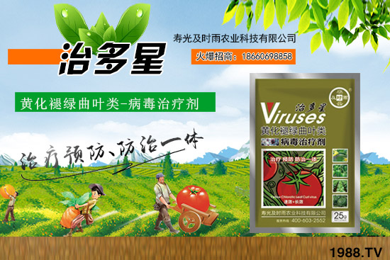 ����ʩ��