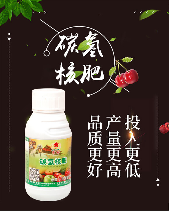 碳?xì)浜朔?綠藻門-碳?xì)鋰?guó)際_01