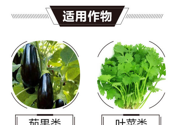 �VԴ�S�����-����999-��ɫ���B(t��i)_06