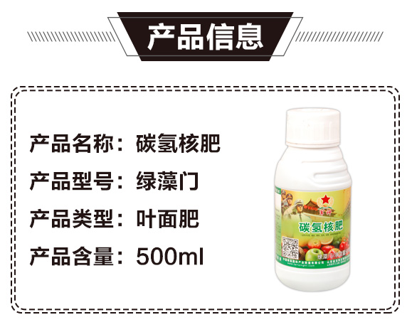 碳?xì)浜朔?綠藻門-碳?xì)鋰?guó)際_02