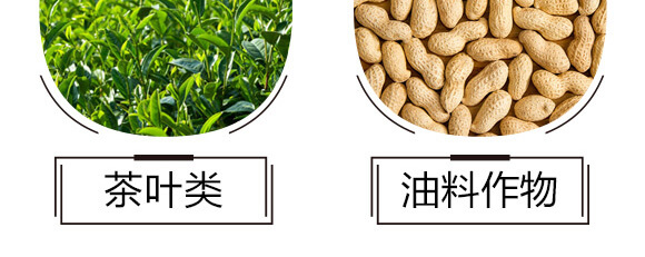 ̼?x��)�˷?�{(l��n)���T-̼?x��)�?gu��)�H_07