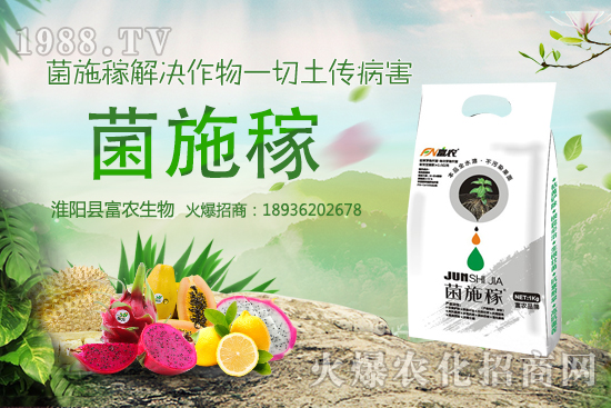 2020���r(n��ng)��NҰ��ٍ�X�����x����ЩҰ��Ʒ�NЧ��������h�ղ���