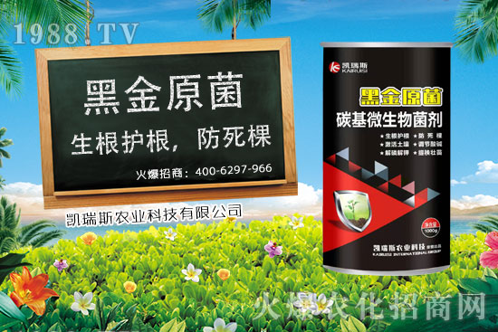 ���؃r(ji��)��