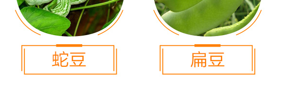 ���ǌ��ö�?ji��)M��-������-���r(n��ng)���_10