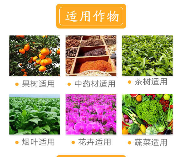 ��(w��n)���ԏ�(f��)�ʢ���25-10-10-�и���ʢ_02