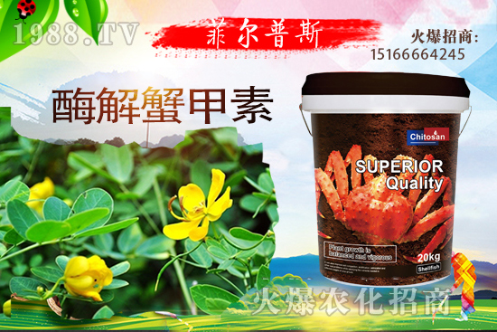 ������ô�Nֲ�������Nֲ���g(sh��)Ҫ�c(di��n)��