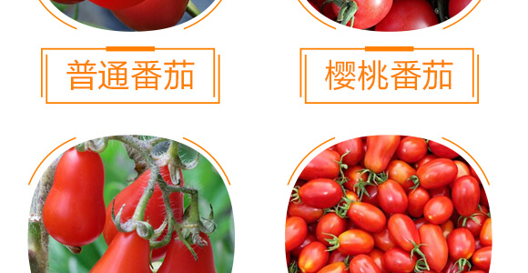 ���ь��üt�M��-������-���r(n��ng)���_09