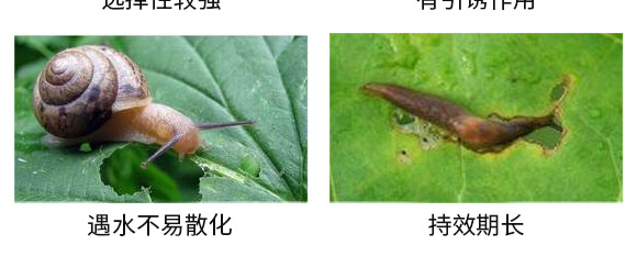 6%�ľ���ȩ��300�ˣ�-��(zh��n)��-�P�Z����_06