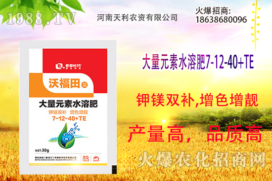 ��피t��ô�B(y��ng)����피t���B(y��ng)ֳ������ע�����(xi��ng)��