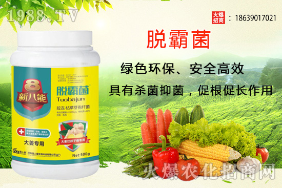 �����Nֲ�xʲôƷ�N�������Nֲǰ��������Ʒ�N���]��