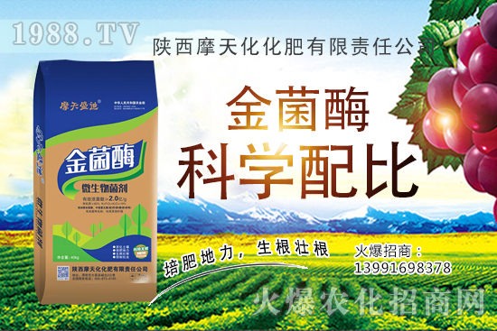 �Nһ���O���ĳɱ��Ƕ��٣��ж�������(r��n)���O���Nֲ���g(sh��)�c������