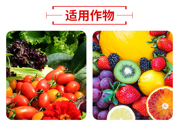 山東濟(jì)寧金網(wǎng)聯(lián)配方肥有限公司產(chǎn)品詳情頁(yè)3_05