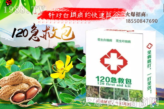 �ȹ����緽������Щ���ȹ���ô���Զ�ֲ��