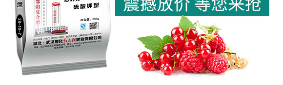 ������͏�(f��)�Ϸ���25-14-6-���_05